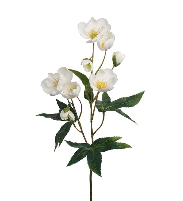Christmas rose white 57 cm
