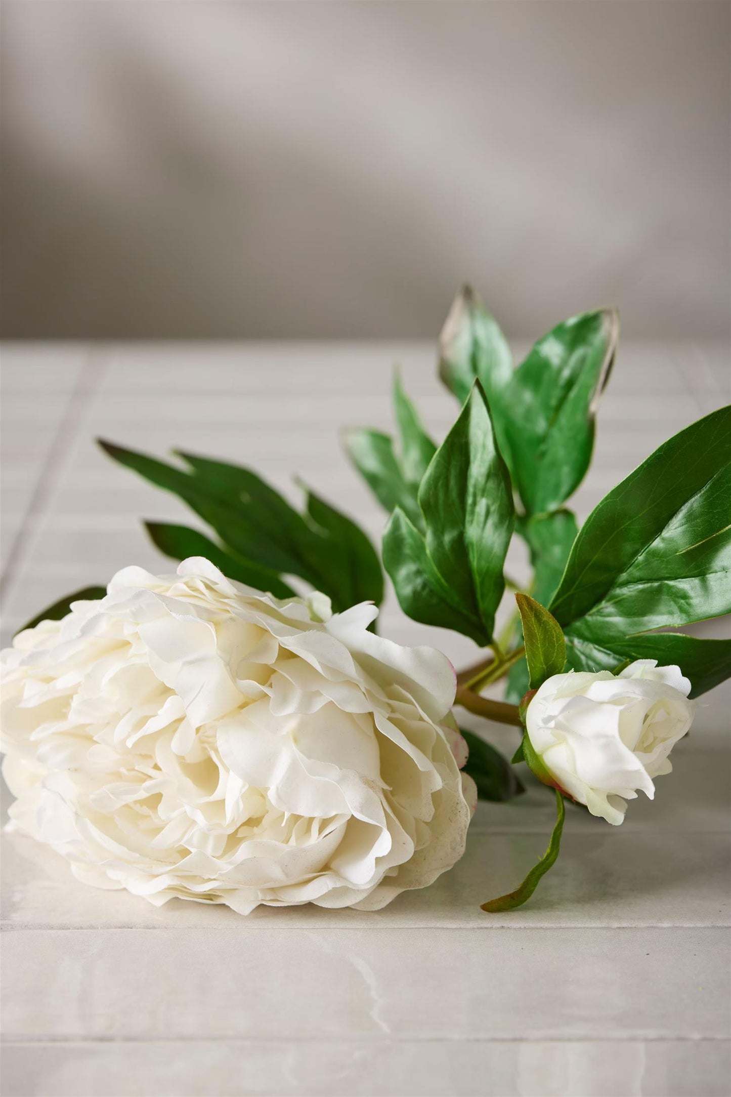 Peony white 65 cm