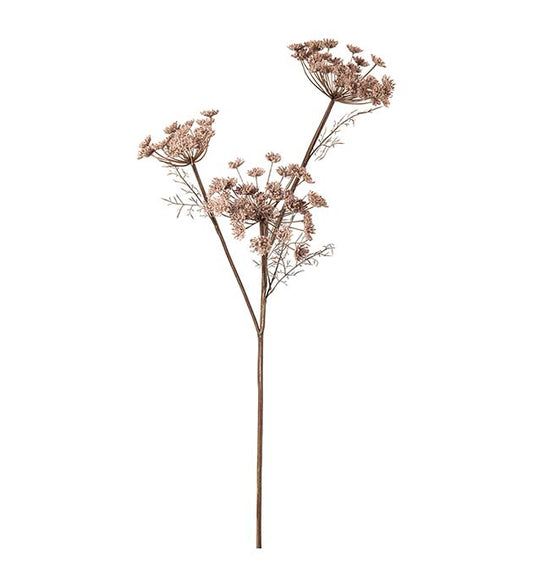 Vildmorot rosa 80 cm