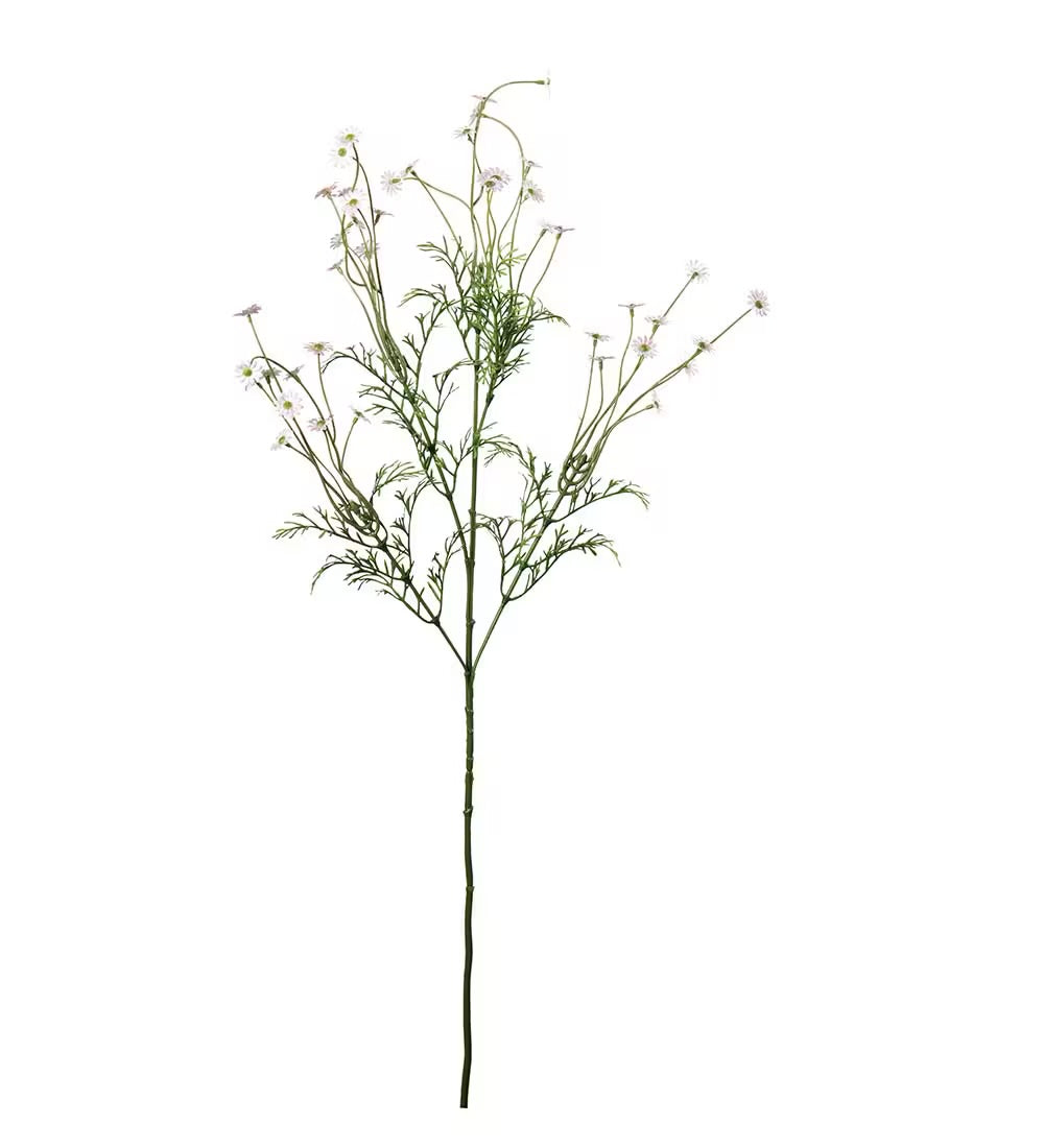 Tusenfryd rosa 72 cm