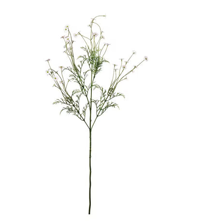 Tusenfryd rosa 72 cm