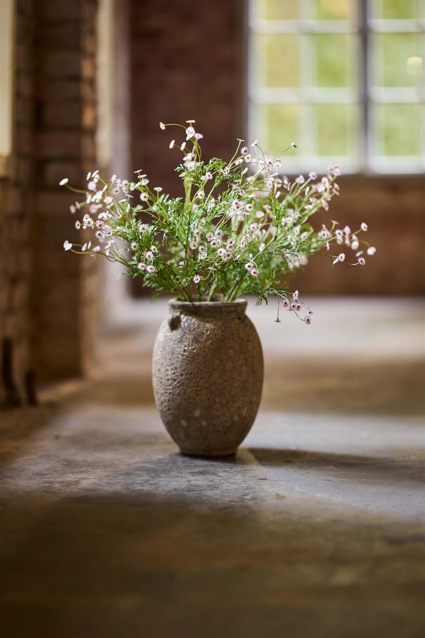 Tusenfryd rosa 72 cm