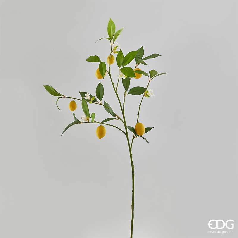 Lemon branch Limone Rex branch 105 cm