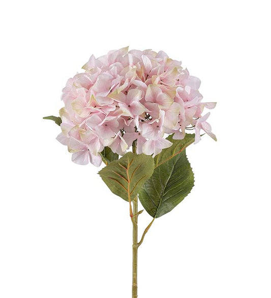 Hortensia rosa 110 cm