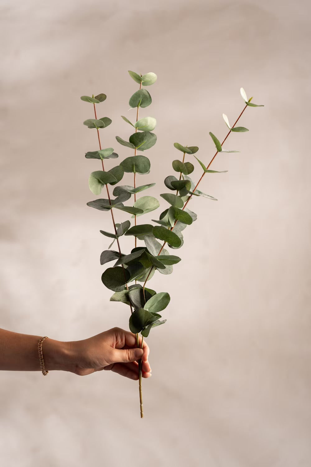 Eucalyptus grønn 60 cm