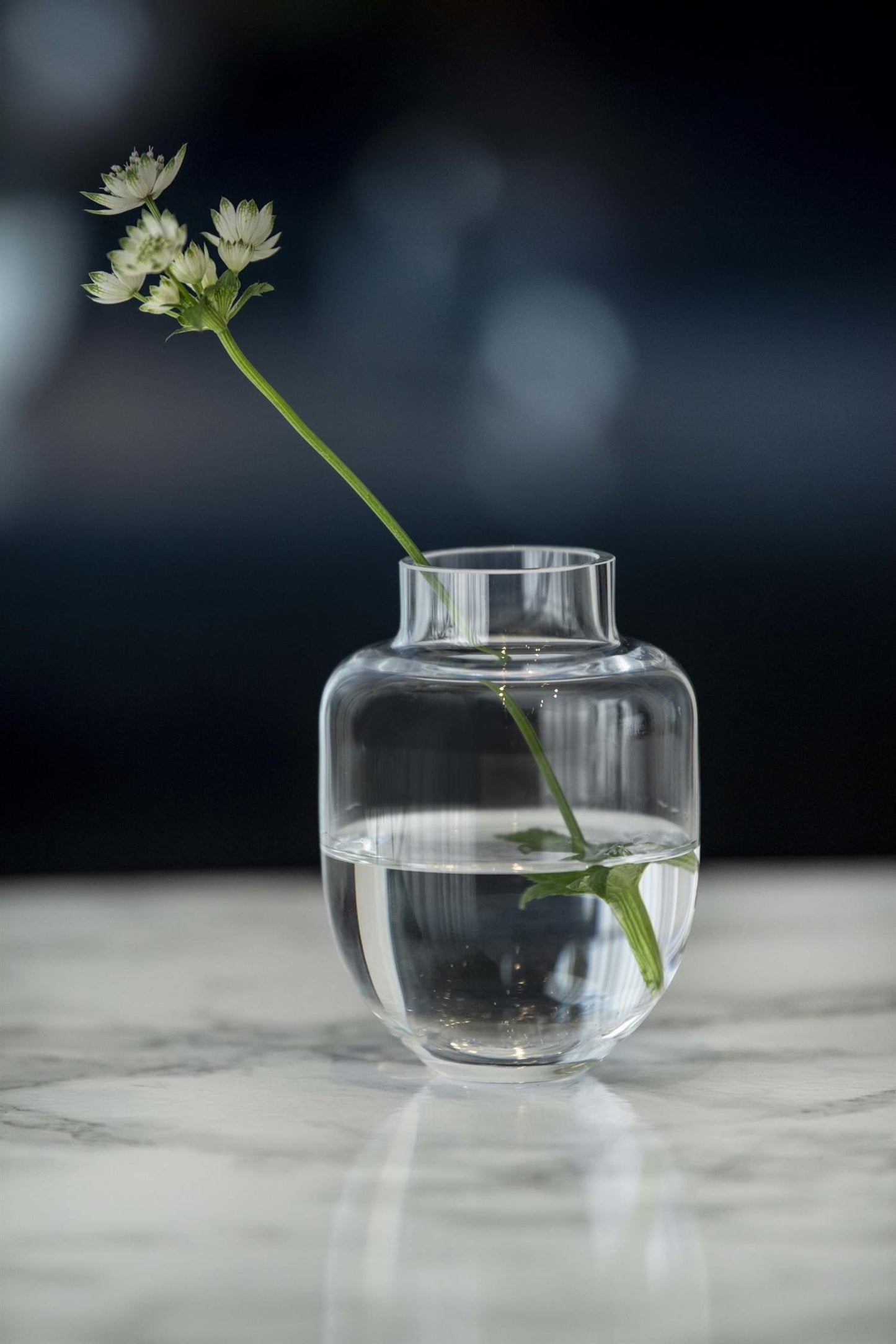 Vase Family clear 11 cm