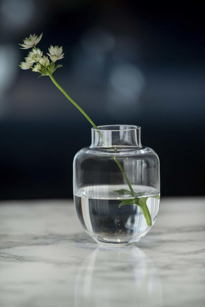 Vase Family clear 11 cm