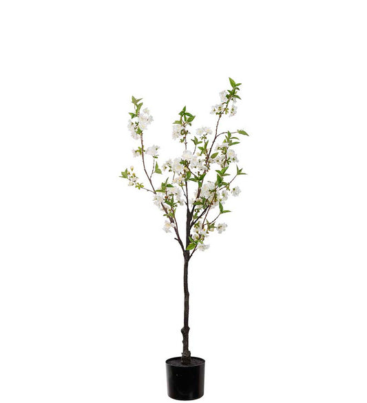 Kirsebærblomst tre hvit 120 cm