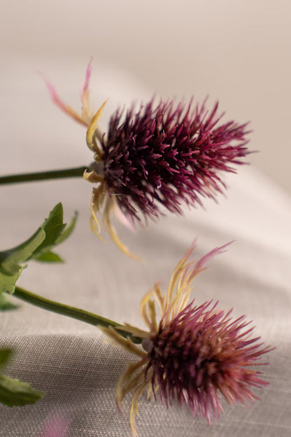 Thistle branch burgundy 60 cm