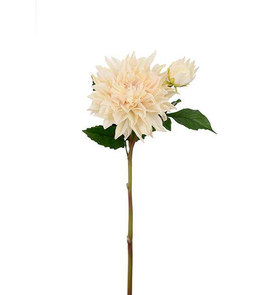 Dahlia krem 70 cm