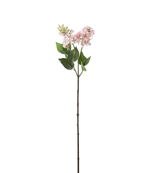Lilac light pink 60 cm