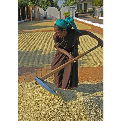 Malabar Monsooned kaffe Filtermalt 250 gram