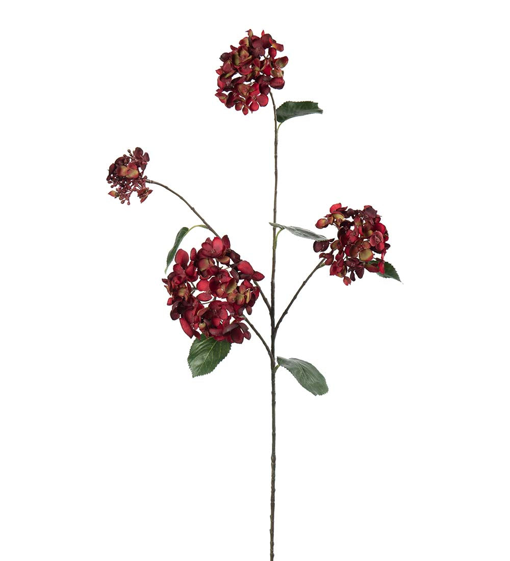 Hortensia rød 80 cm