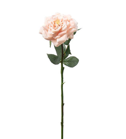Rose peach 41 cm