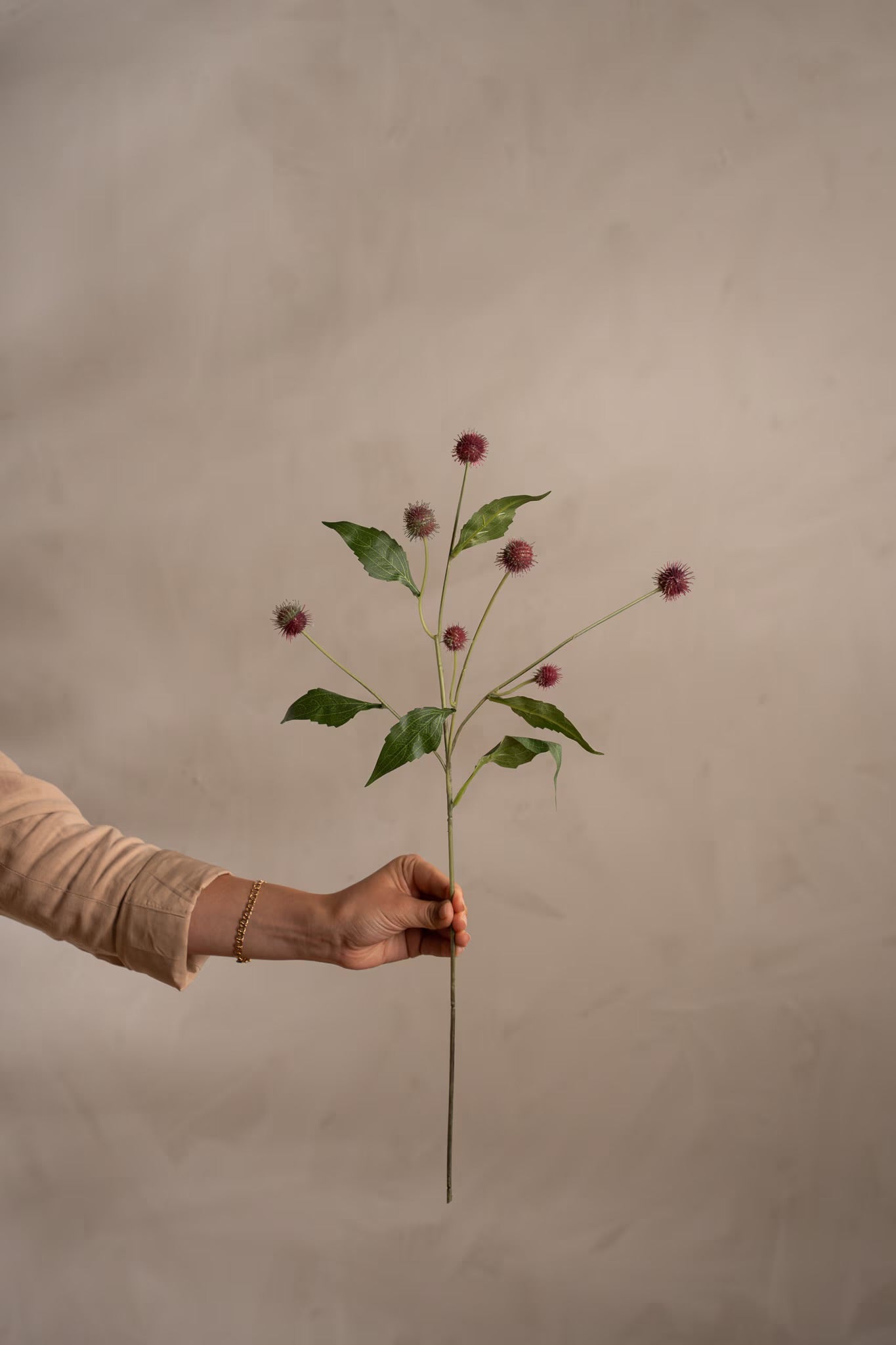 Thistle burgundy 58 cm