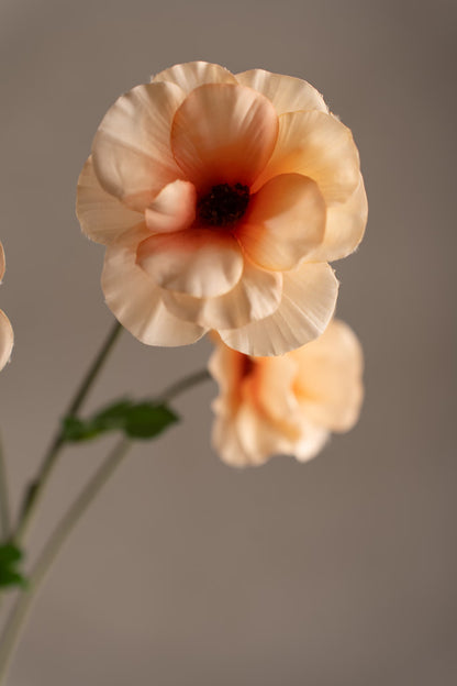 Japanese ranunculus peach 62 cm