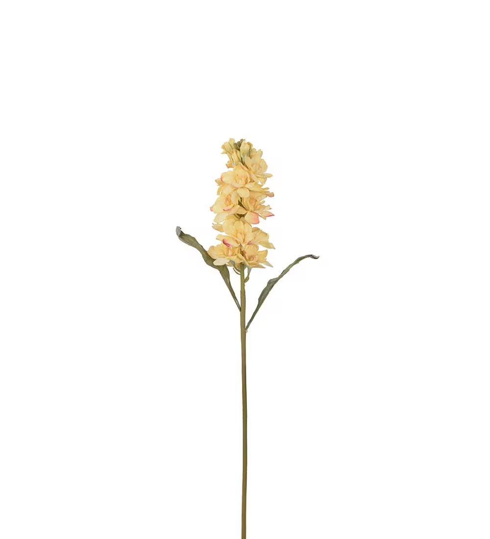 Levkøy gul 53 cm
