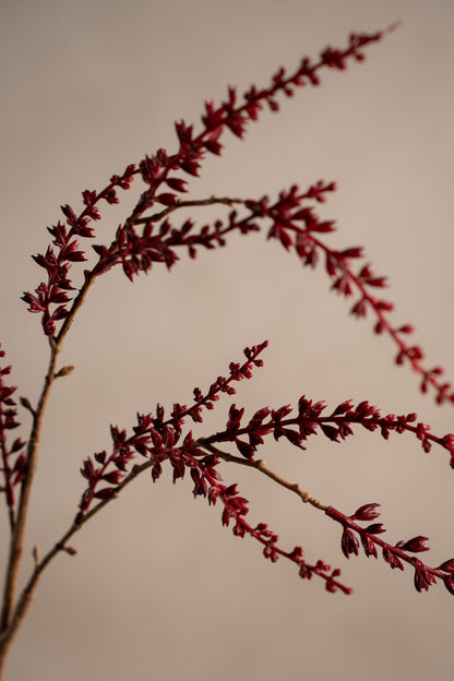 Twig burgundy 70 cm