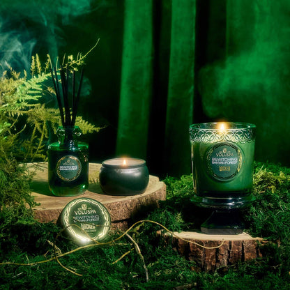 Bewitching Banyan Forest Boxed Candle 60 timer