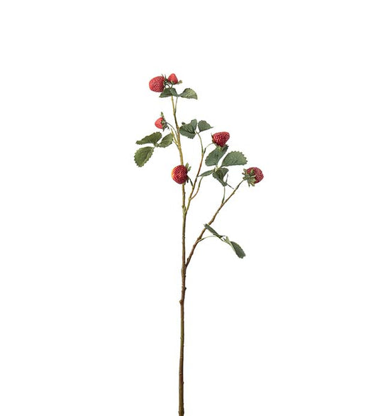 Jordbærkvist 70 cm