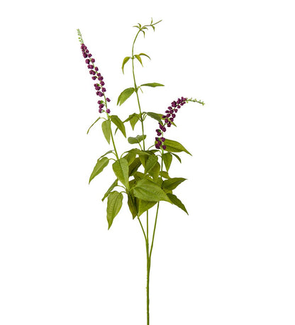 Lavendel lilla 70 cm