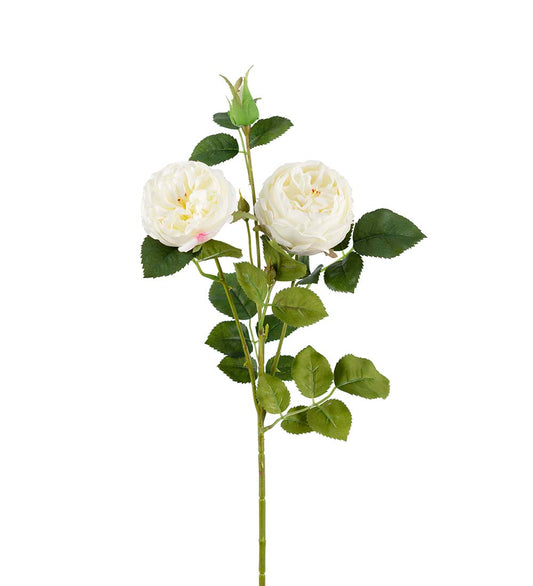 Rose gren hvit 60 cm