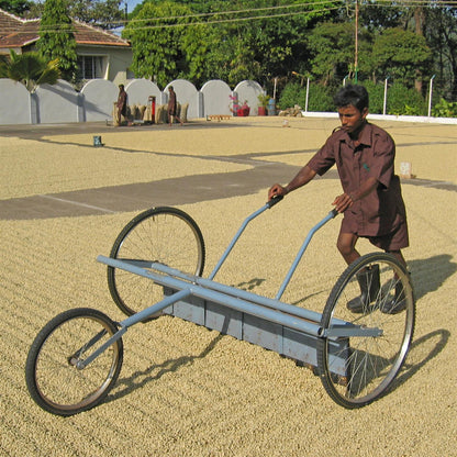 Malabar Monsooned kaffe hele bønner 250 gram
