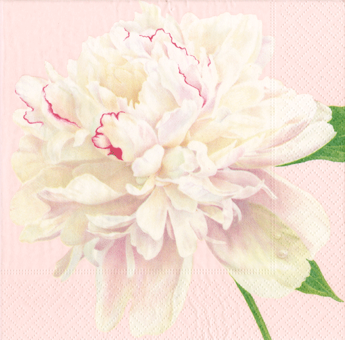 Serviett lunch Duchess peonies blush