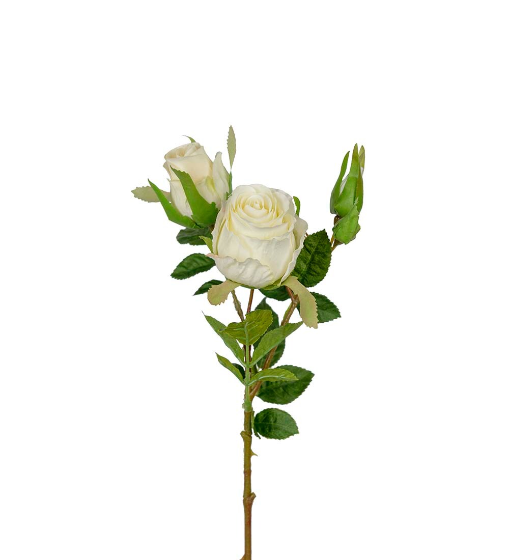 Rose hvit 40 cm