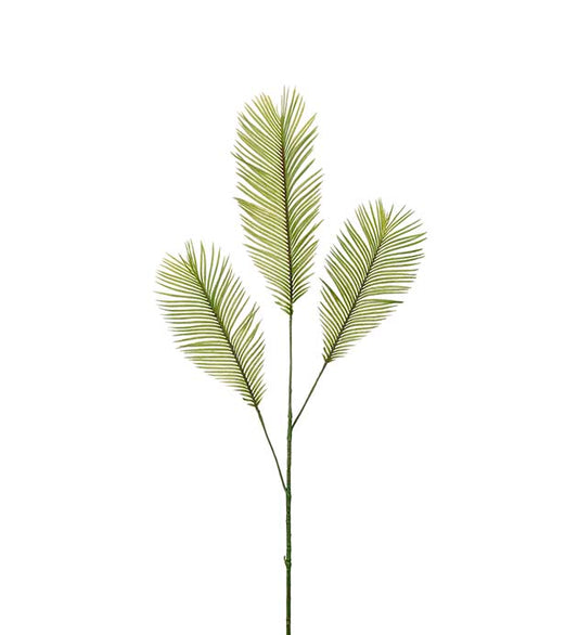 Cycas blad 100 cm