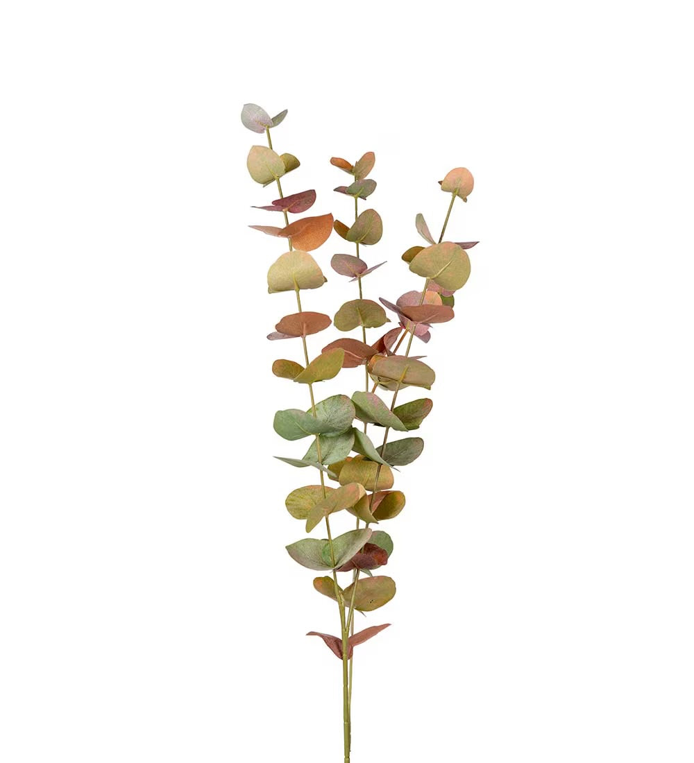 Eucalyptus warm tones 60 cm