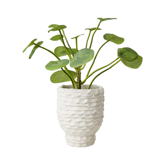 Cream krukke 11 cm