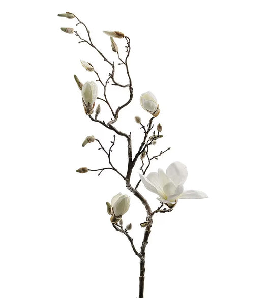 Magnolia gren hvit 135 cm